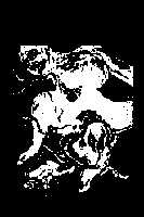 CP 234-V5