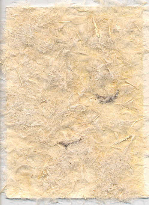 CP 1265-R23