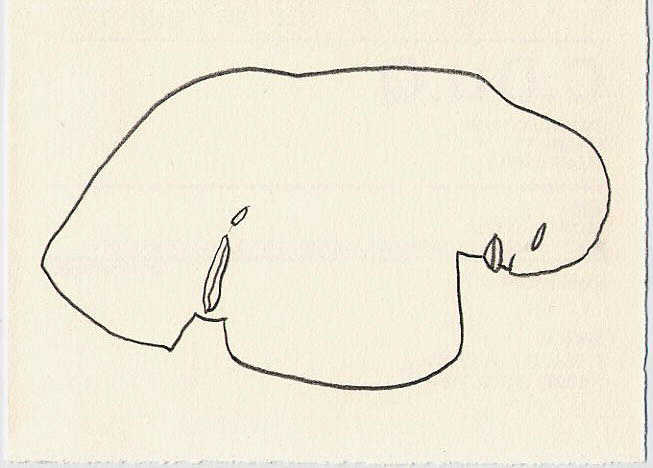 CP 1266-R18