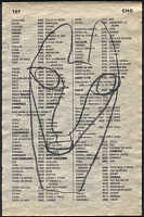 LIV79-107