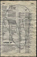 LIV79-203