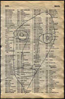 LIV79-333