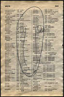 LIV79-334