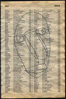 LIV79-343