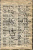 LIV79-349