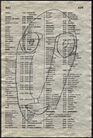 LIV79-426
