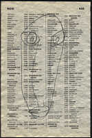LIV79-438