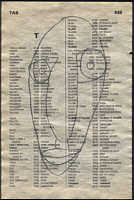 LIV79-536