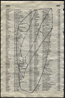 LIV79-562
