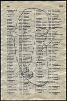 LIV79-587